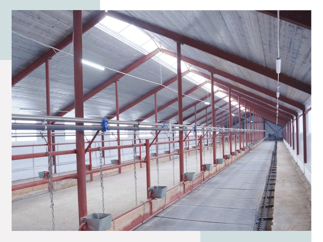 Строительство коровников в Полевском от 616 руб.