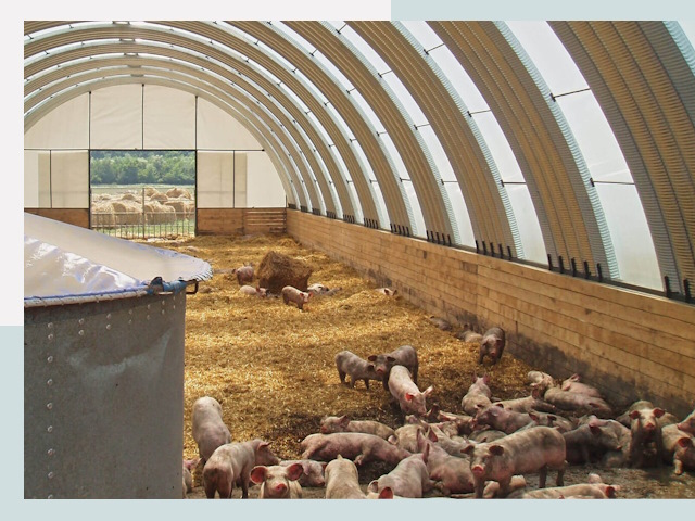 Строительство свинарников в Полевском