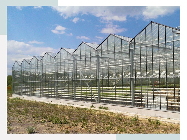 Строительство теплиц в Полевской от 616 руб. за м²