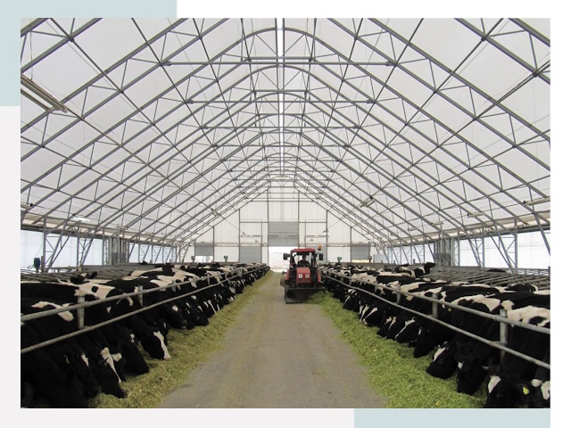 Тентовые коровники в Полевском от 616 руб. - Надежно и доступно