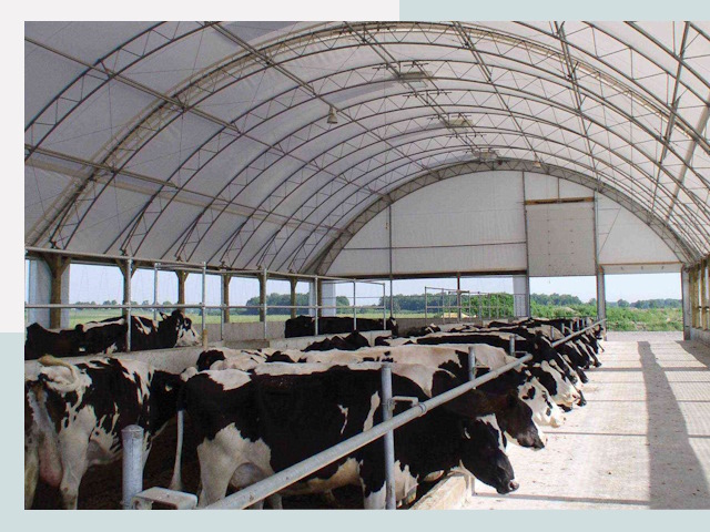 Тентовые коровники в Полевском